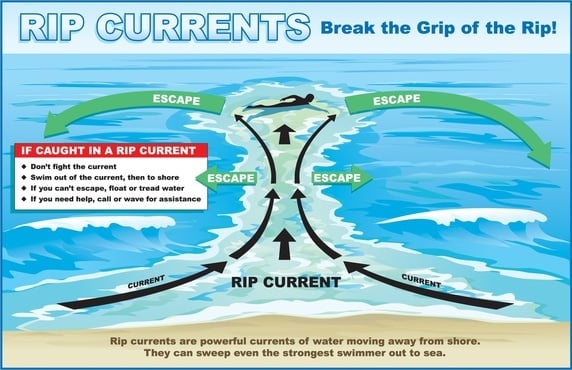 survive rip current