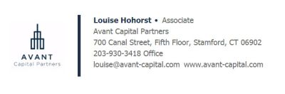 Avant Capital Partners - Professional Template